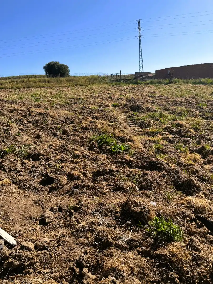 Rural land for sale in Diseminado Navalcarnero, imagen 3
