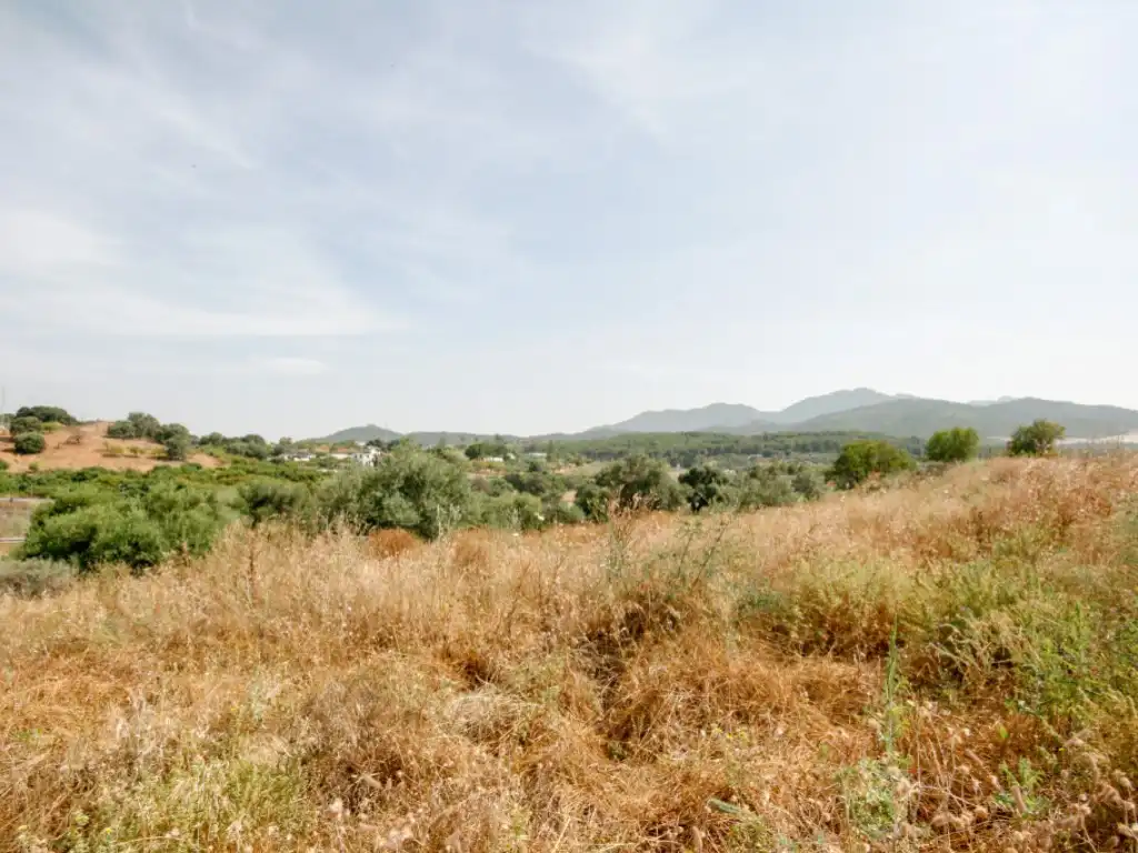 Terreno residenziale in vendita a Terrenos Sup.R.20, imagen 3
