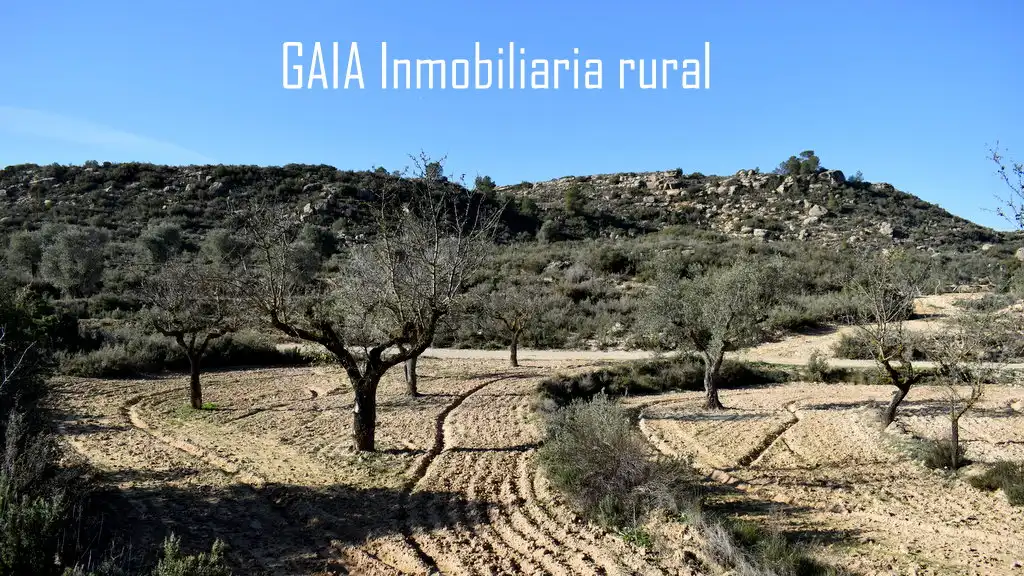 Casa rústica en venda a Maella, imagen 8