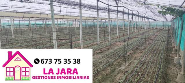 Terreno residencial en Venta en Del Hato en La Jara