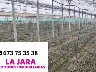 Terreni e lotti in vendita a Del Hato