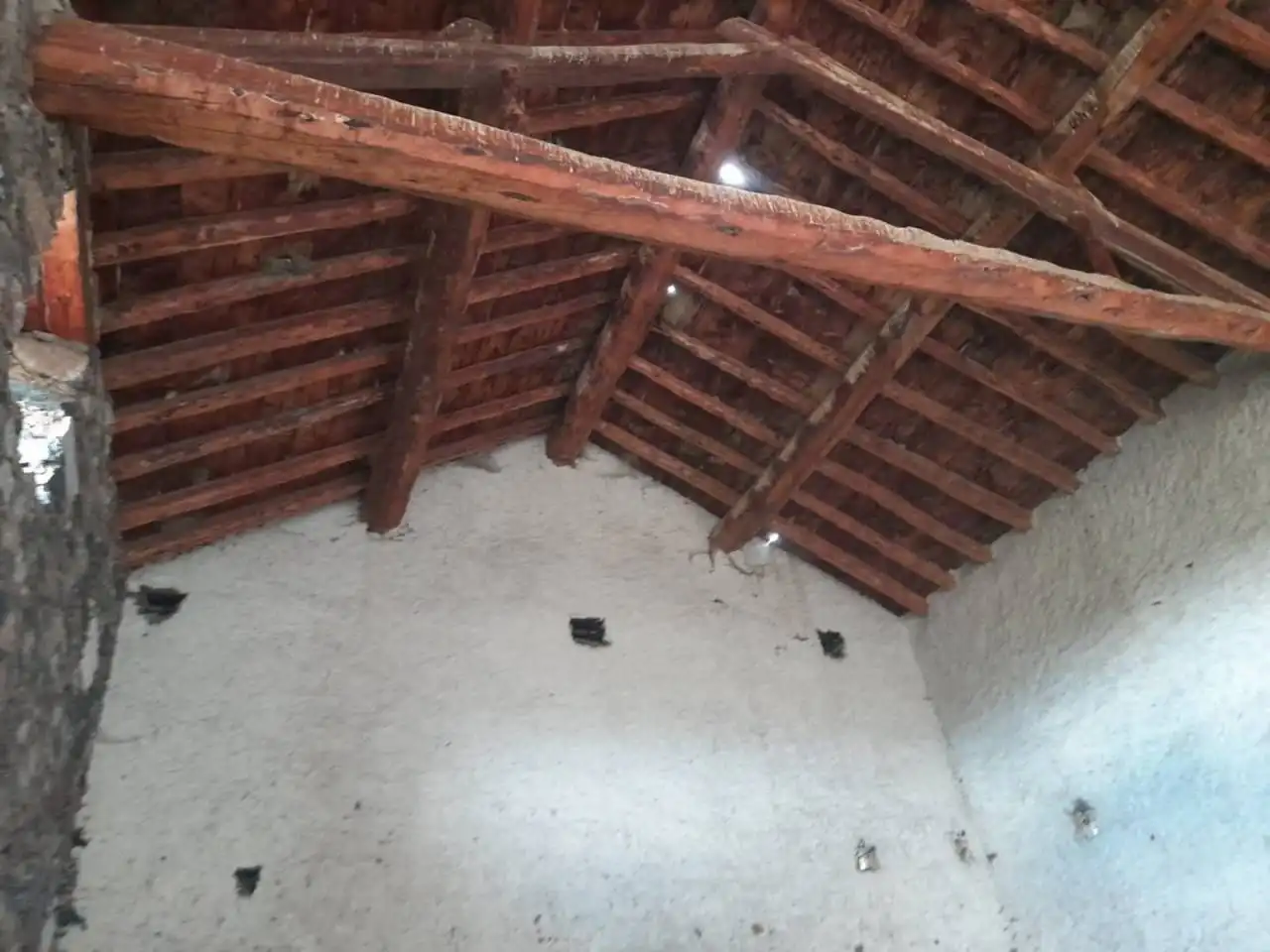 Casa rústica amb jardí en venda a Latour - de - Carol, imagen 34