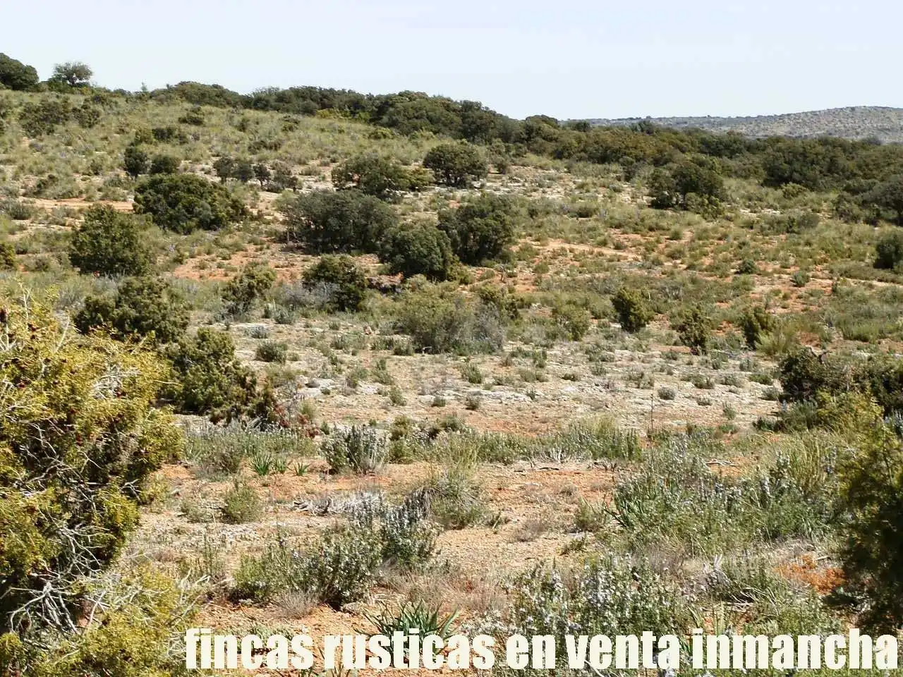 Lands and plots for sale in Ossa de Montiel, imagen 23
