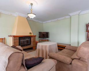 Living room of Flat for sale in Albuñol  with Air Conditioner, Terrace and Furnished