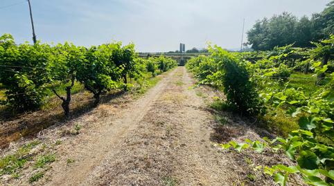Foto 2 de Finca rústica en venda a Ribadumia, Pontevedra