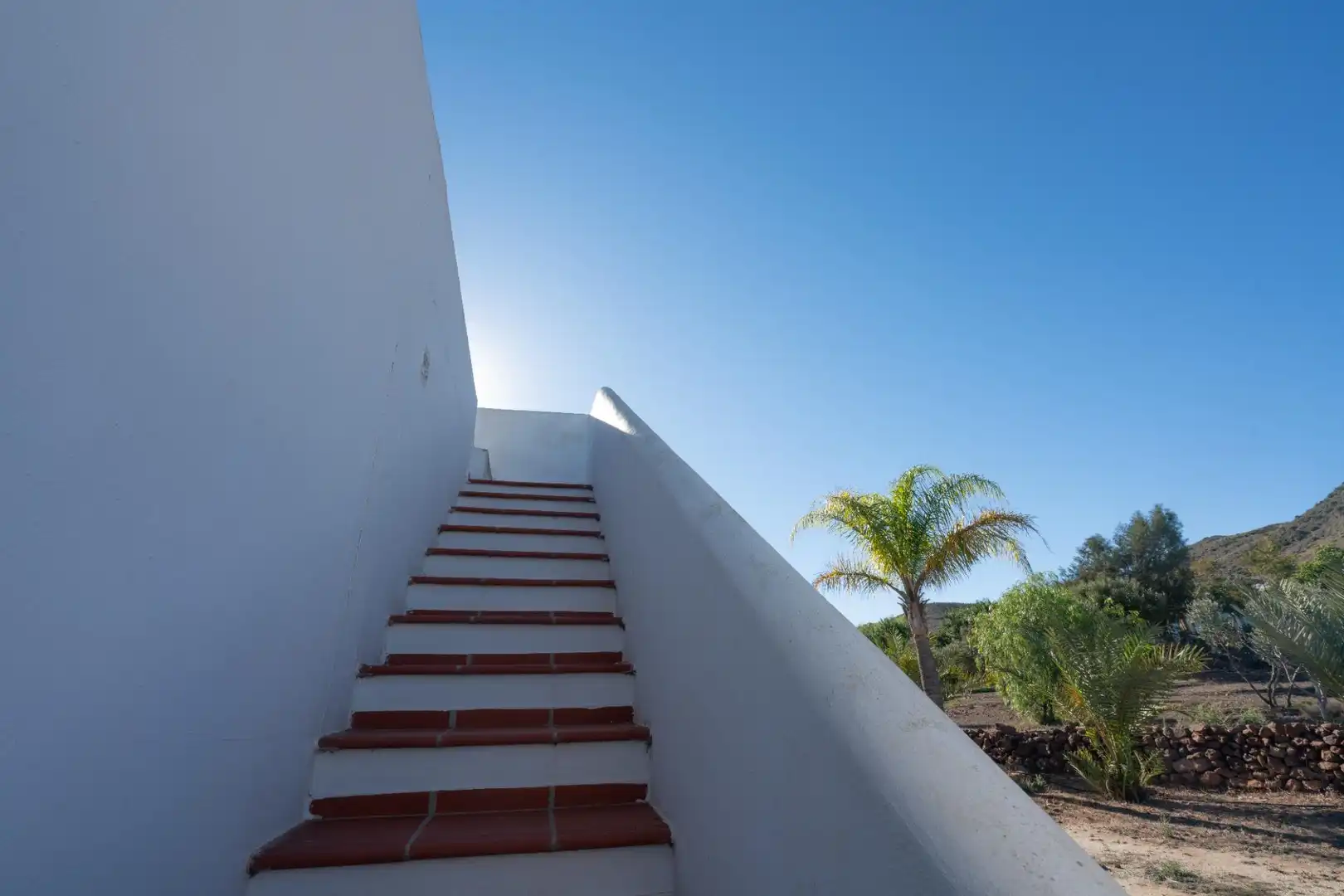 Vista exterior de Casa o chalet en venta en Níjar con Calefacción, Jardín privado y Terraza