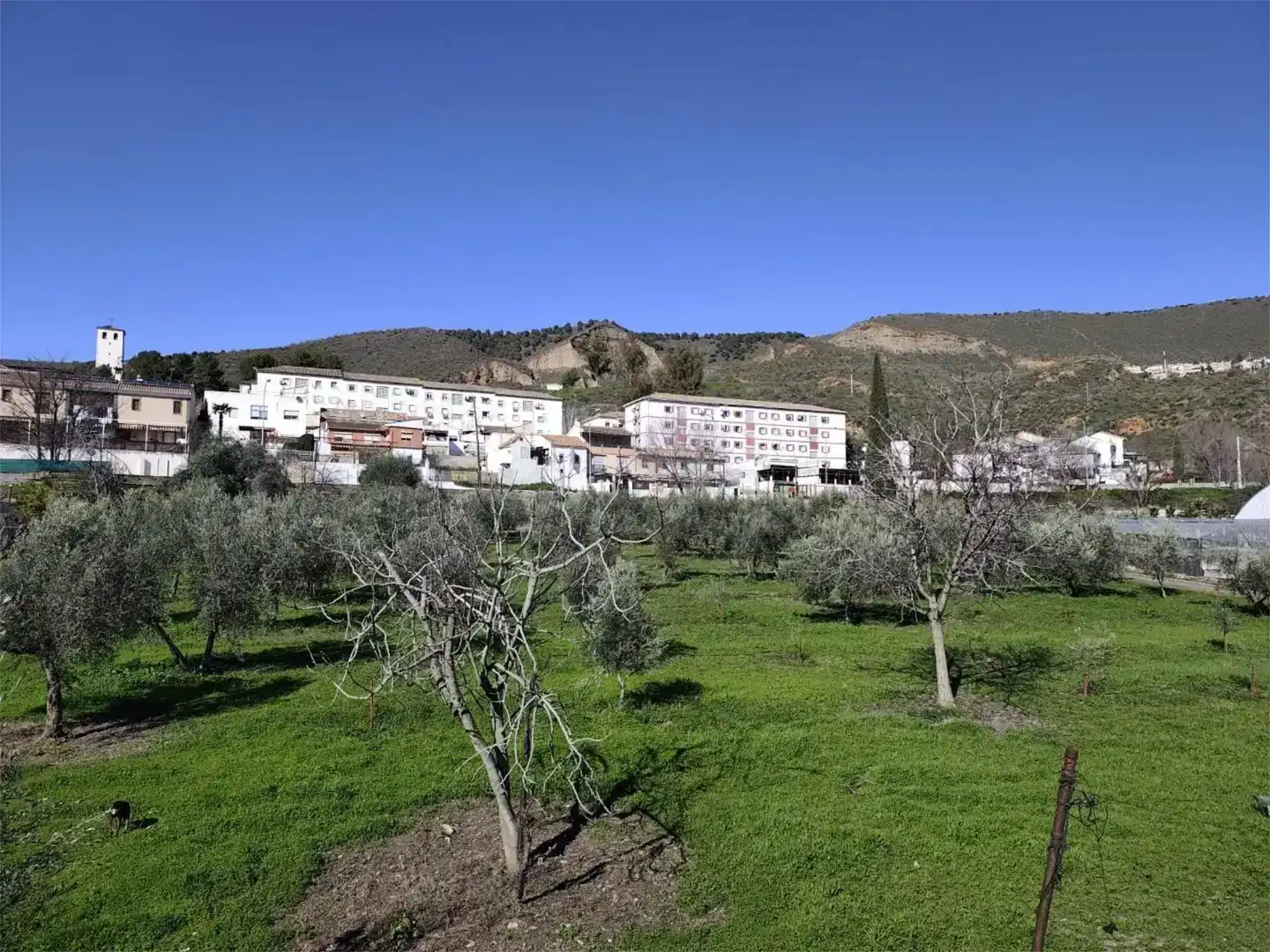 Vista exterior de Finca rústica en venda en Granada amb Jardí privat, Traster i Piscina