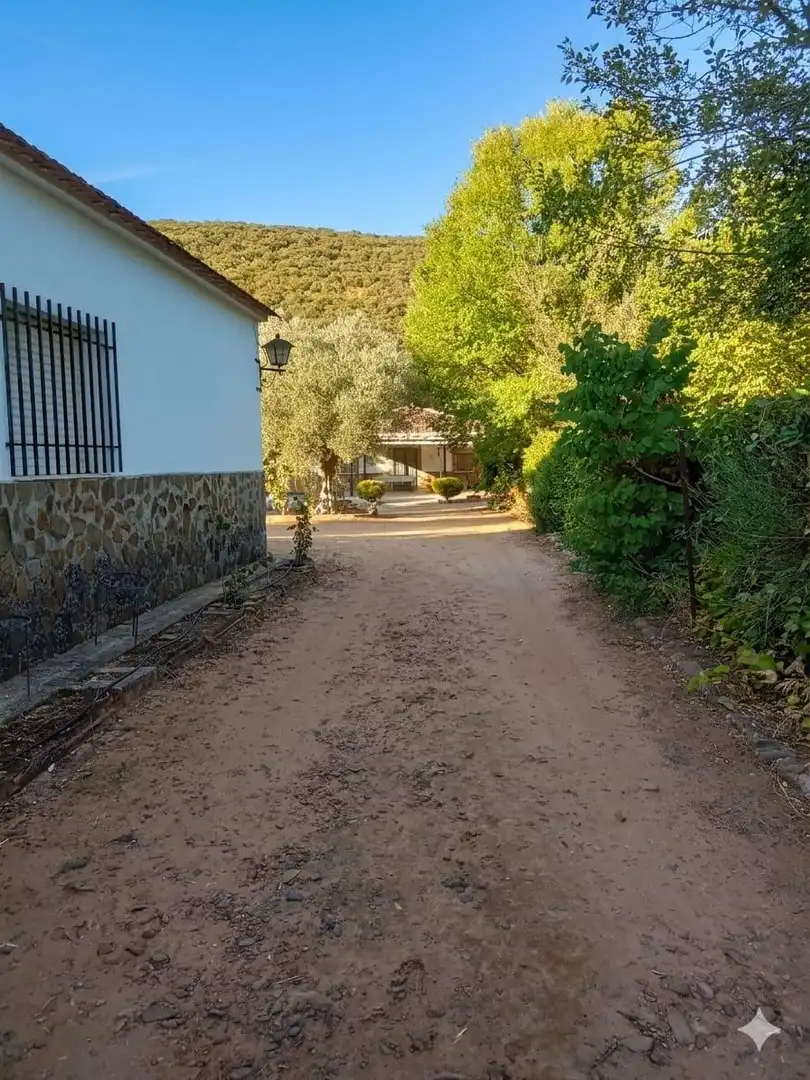 Vista exterior de Casa o xalet en venda en Piedrabuena amb Calefacció, Jardí privat i Terrassa