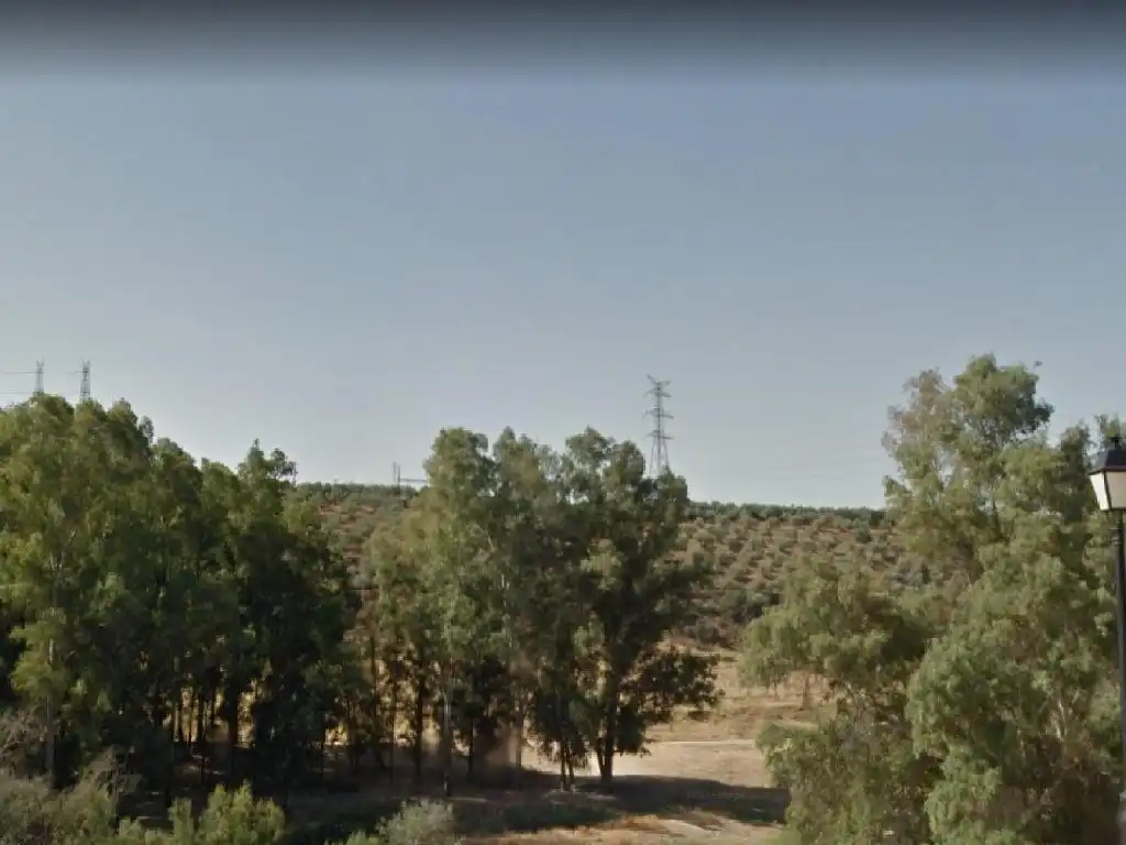 Terrenos y solares en venta en Marmolejo, imagen 5