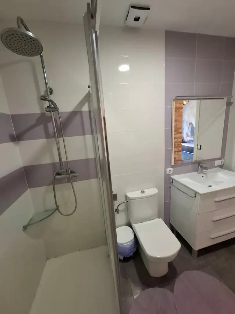 Baño de Piso de alquiler en Villanueva de Castellón
