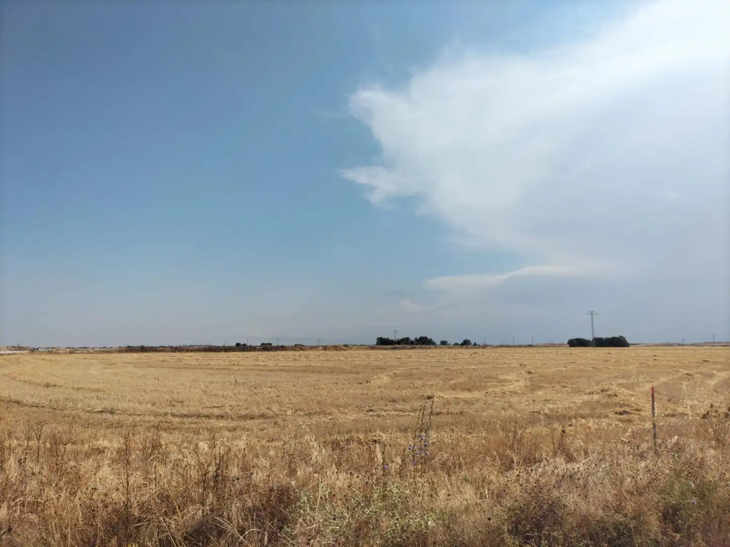 Nau industrial en venda en Olivares de Duero