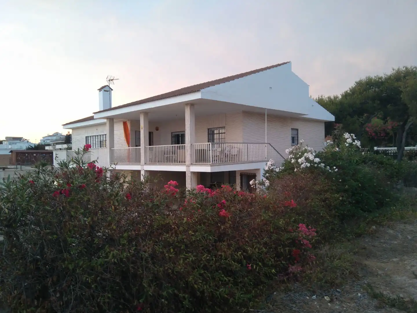 Vista exterior de Casa o chalet de alquiler en El Portil
