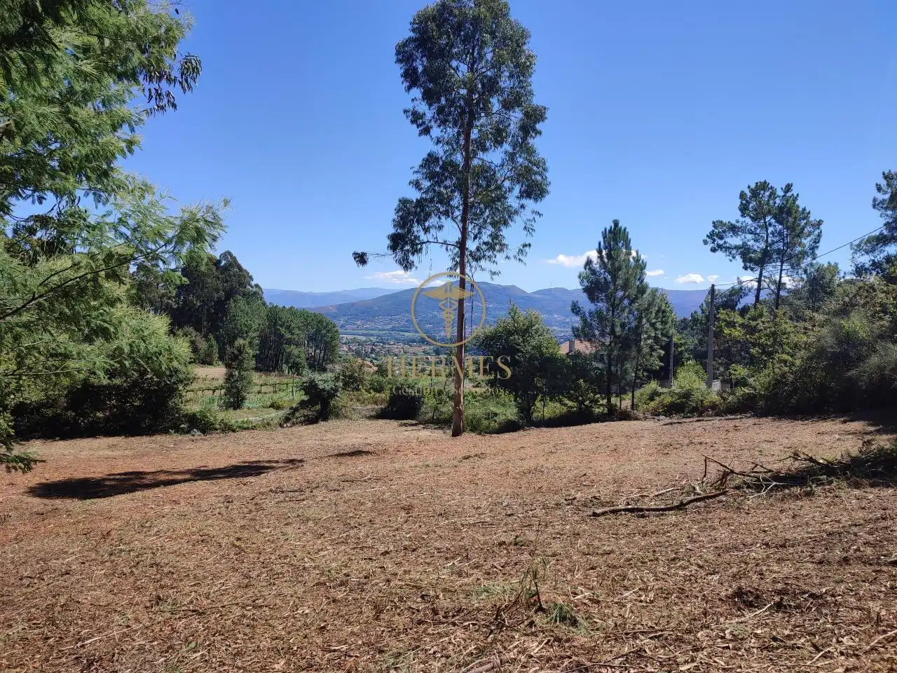 Terreno rustico in vendita a Tui, imagen 6
