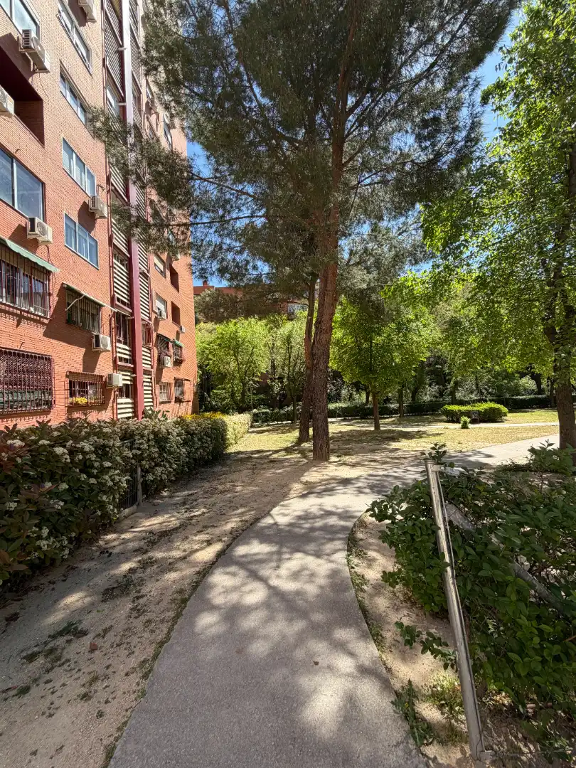 Gewerbefläche zum Verkauf in Calle de Luis de Hoyos Sainz, imagen 26