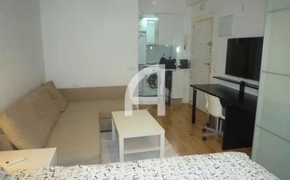 Living room of Study to rent in  Madrid Capital  with Air Conditioner, Heating and Furnished