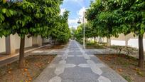 Flat for sale in Camino de los Neveros - Serrallo, imagen 1