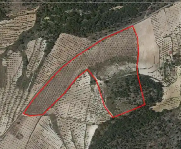 Rural land for sale in Biar, imagen 2