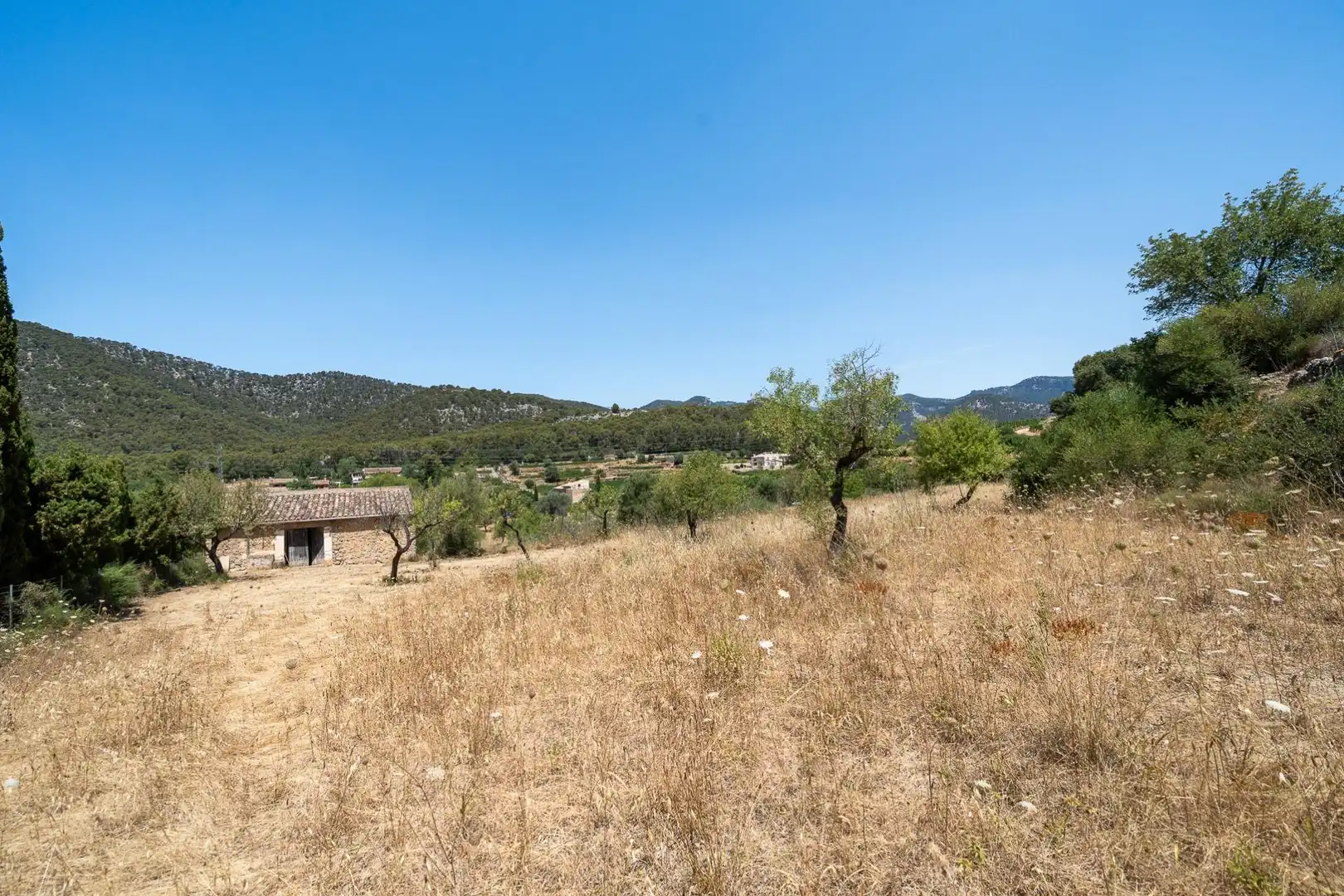 Casa o chalet en venta en Alaró con Jardín privado