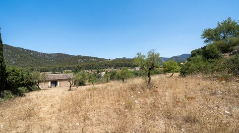 Foto 2 de Casa o chalet en venta en Alaró, Illes Balears