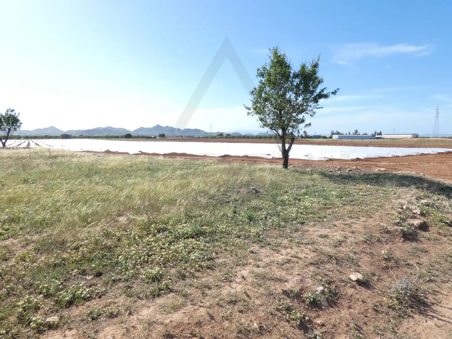Terreni e lotti in vendita a Pedanías Oeste, imagen 16