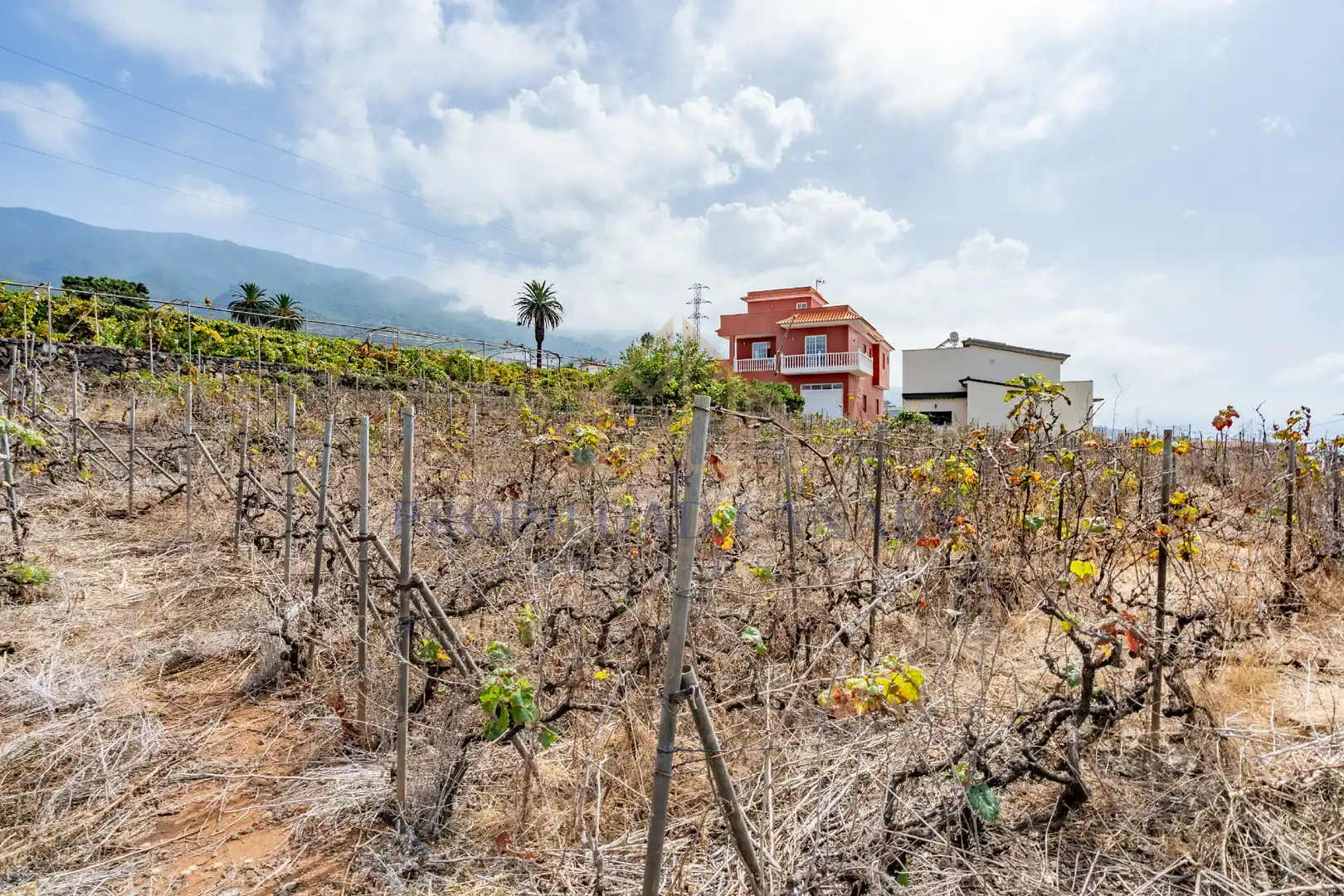 Terreno residencial en venta en Calle Vista Alegre 3, imagen 13