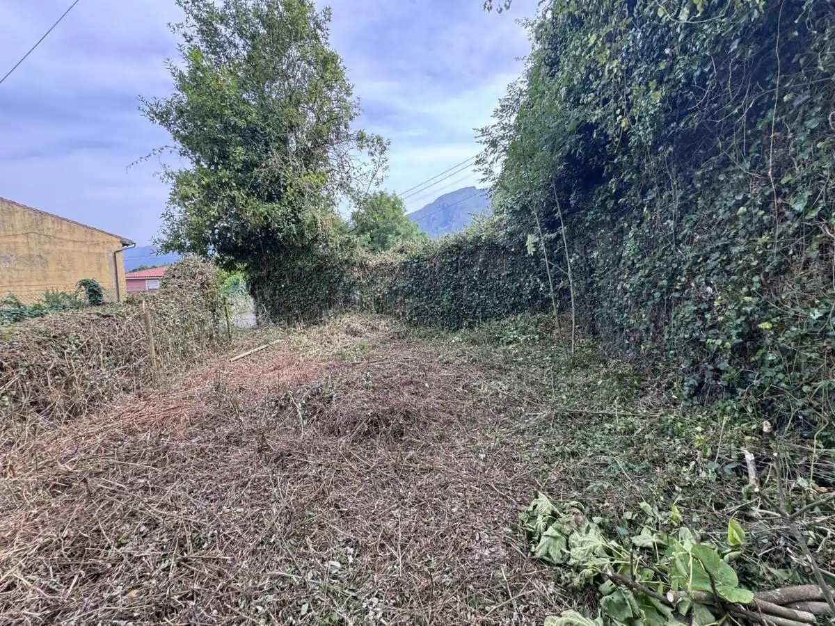 Casa a schiera con giardino in vendita a Posada - Barro, imagen 15