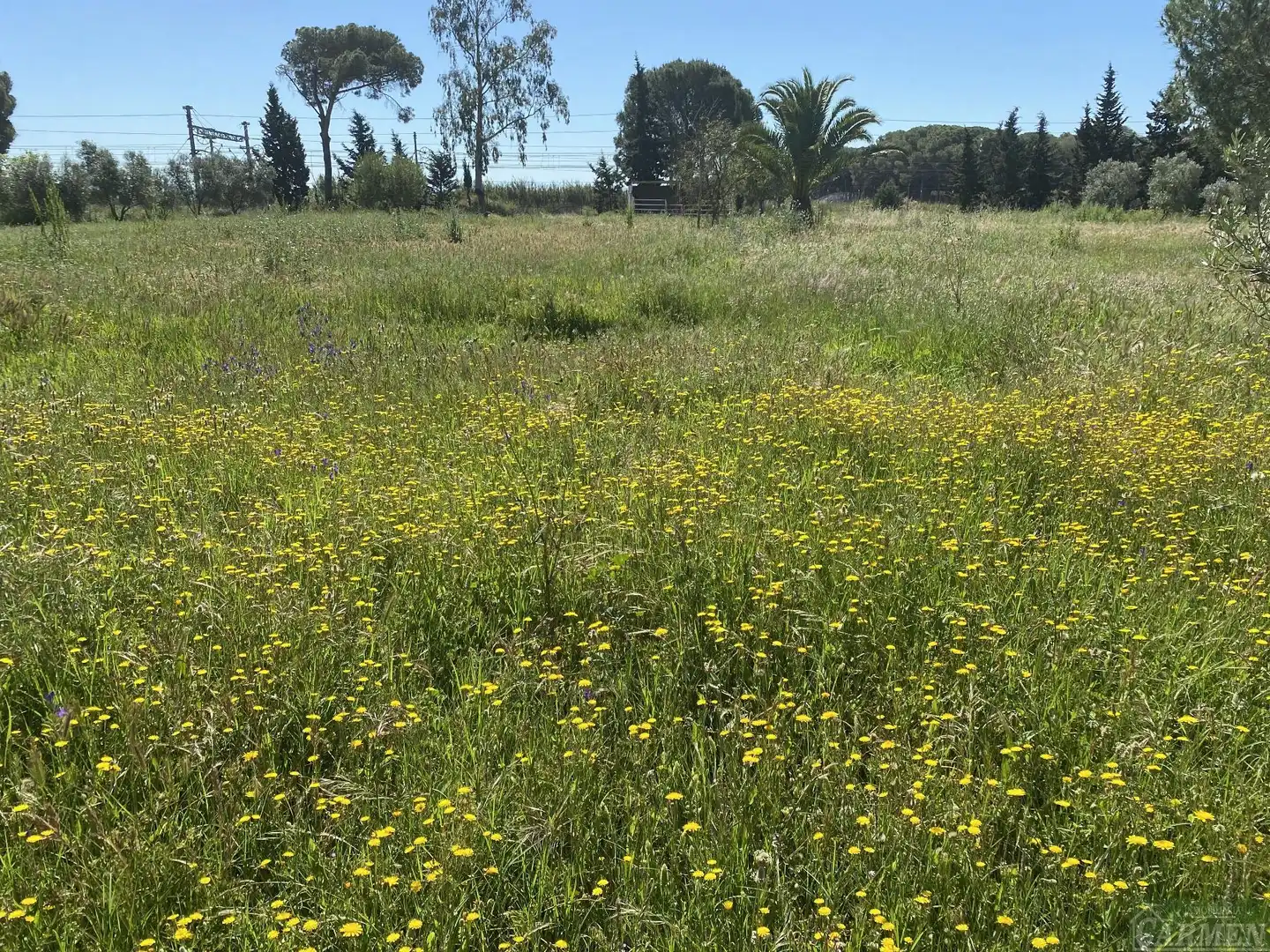 Finca rústica en venda en Jerez de la Frontera amb Traster