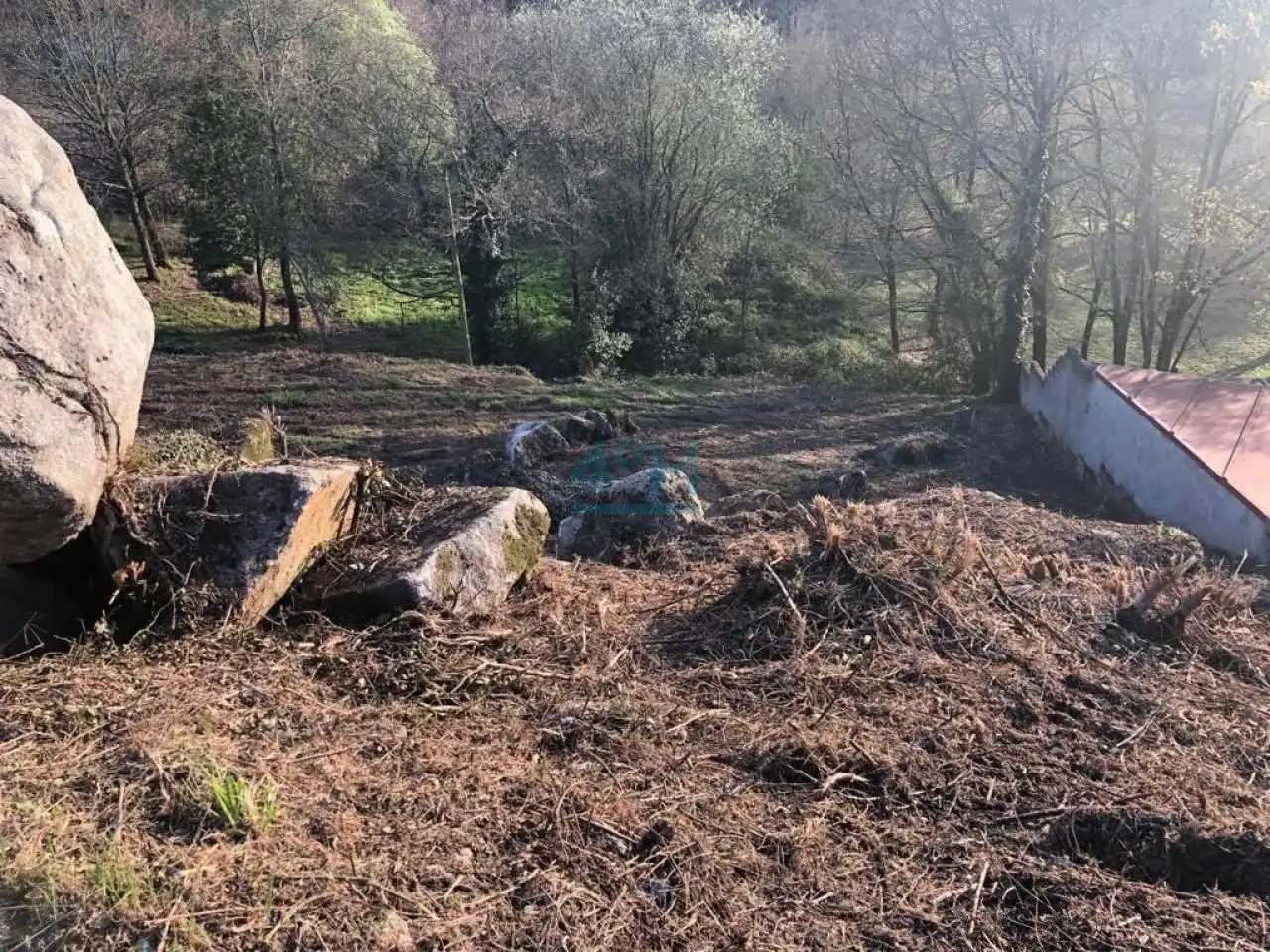 Terreni e lotti in vendita a O Pereiro de Aguiar, imagen 3