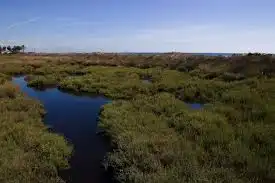 Residential land for sale in Creixell, imagen 5
