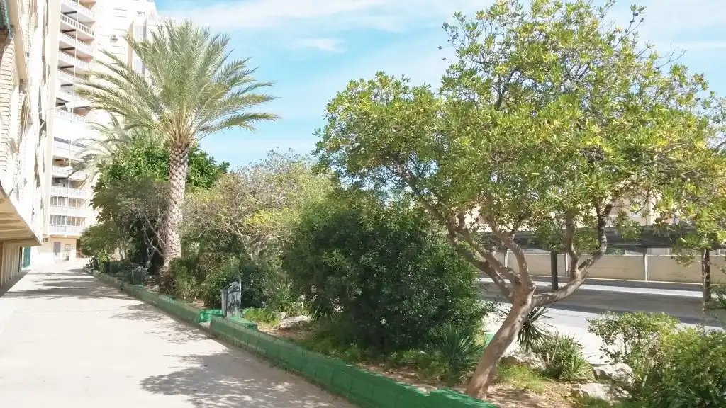 Apartamento en venta en Avinguda de les Gavines, 103, El Perellonet