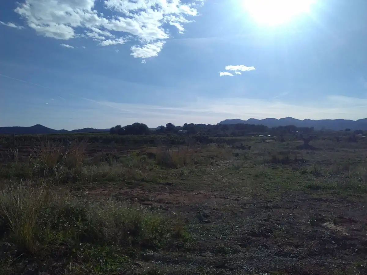 Terreno rústico en venta en Alfara de la Baronia, imagen 7