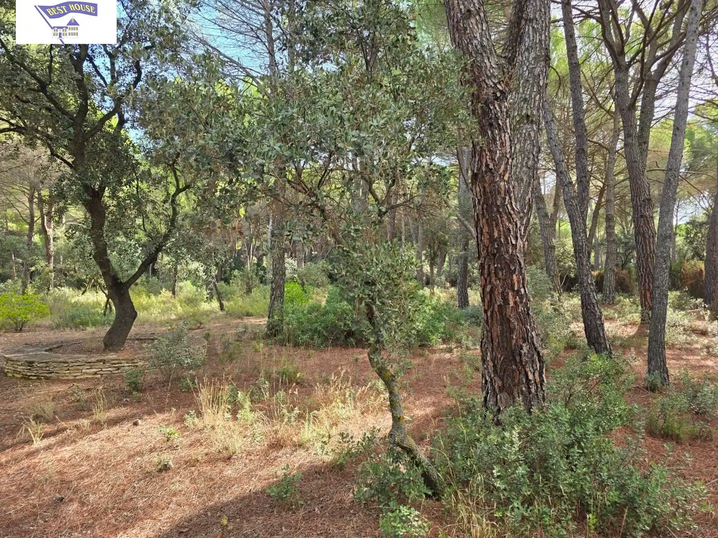 Terreno rustico in vendita a Pedanías - Extrarradio, imagen 10
