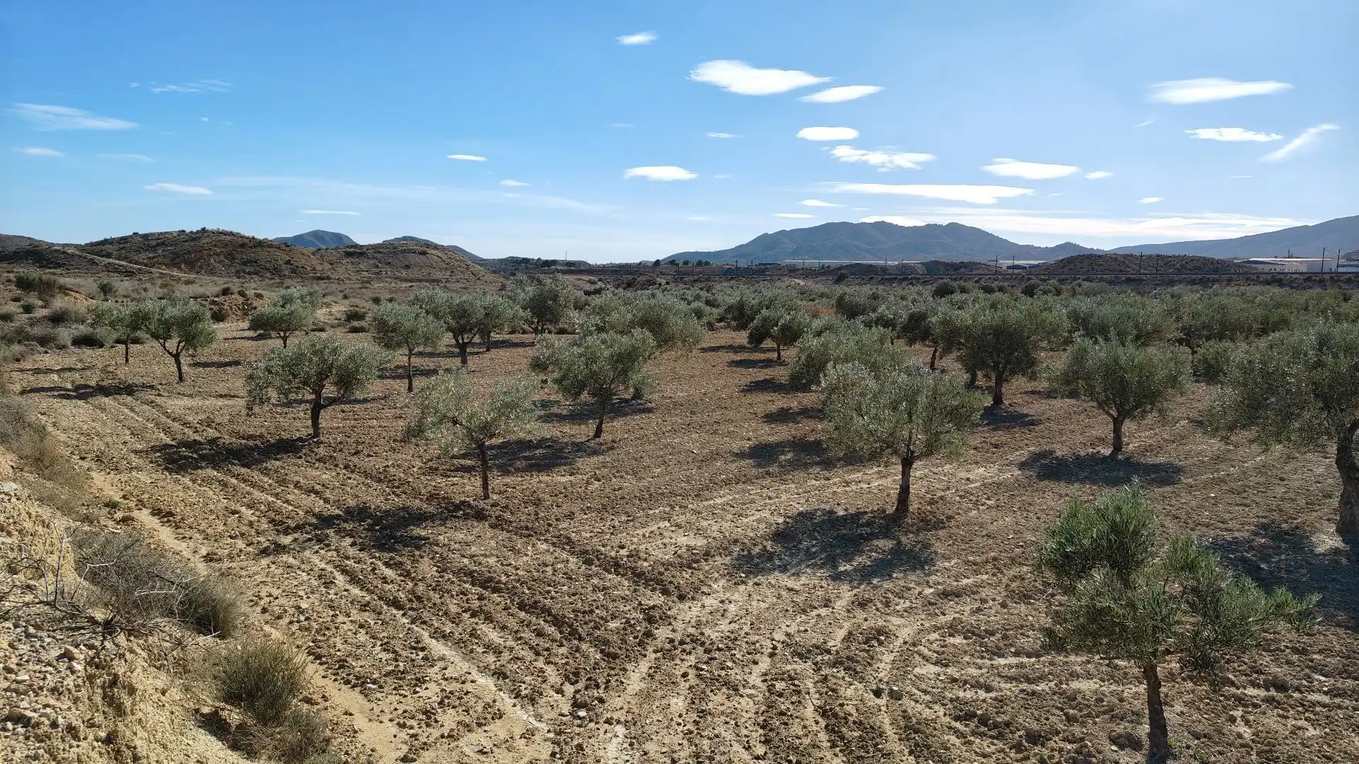 Terreno rustico in vendita a Campo Alto - Club de Campo, imagen 3