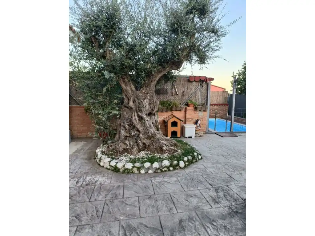 Jardí de Casa o xalet en venda en Rubí amb Aire condicionat i Piscina