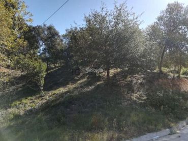 Grundstücke und Bauplätze zum Verkauf in Carrer Mimoses 541