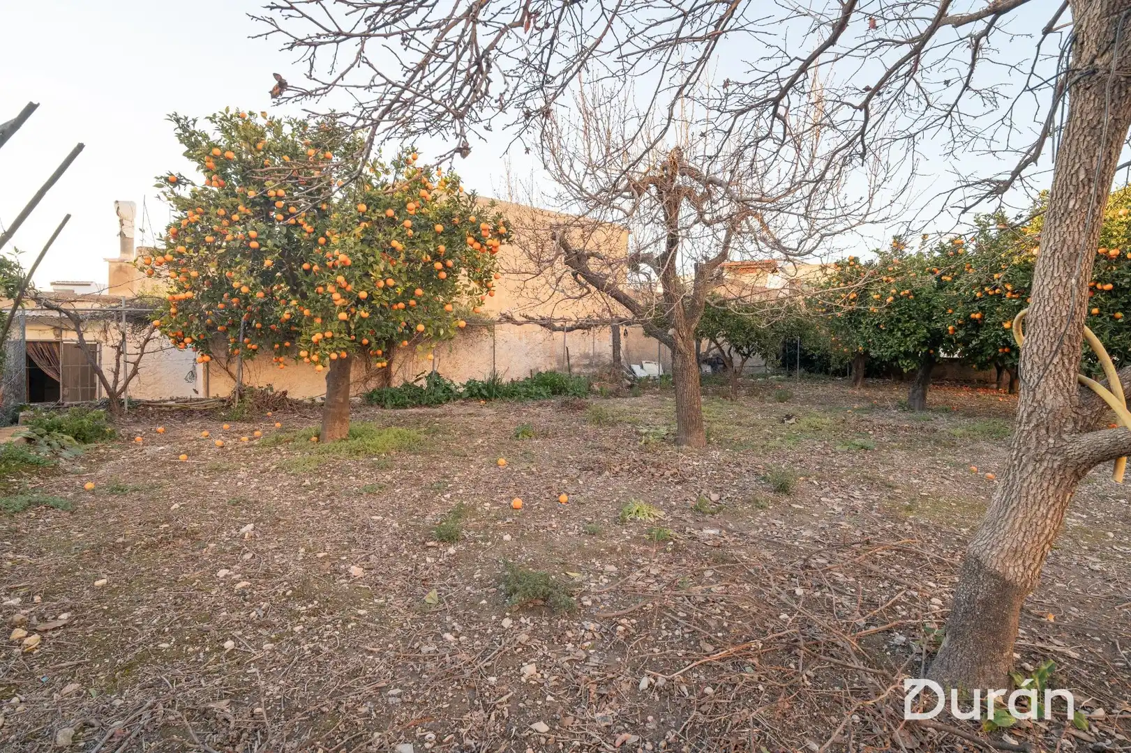 Finca rústica en venda en Alcolea amb Aire condicionat, Jardí privat i Traster