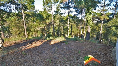 R02059 PARCELA DE 800 M2 EN LA URBANIZACION DE LLORET BLAU, imatge 3