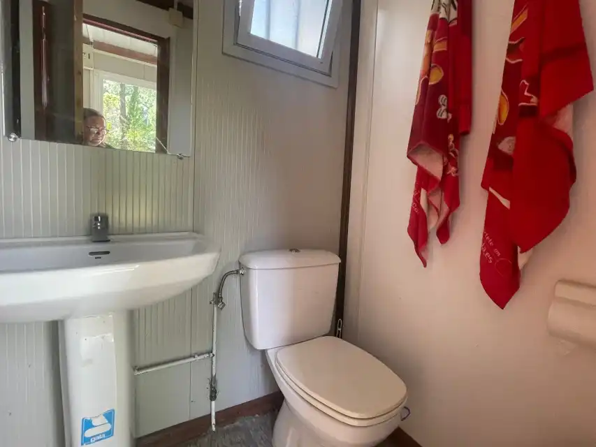 Baño de Casa o chalet en venta en Pelayos de la Presa con Jardín privado