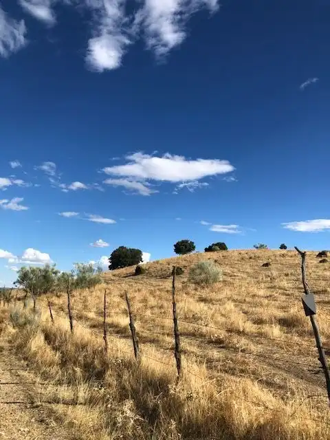 Terreny residencial en venda a Valdemorillo pueblo, imagen 18