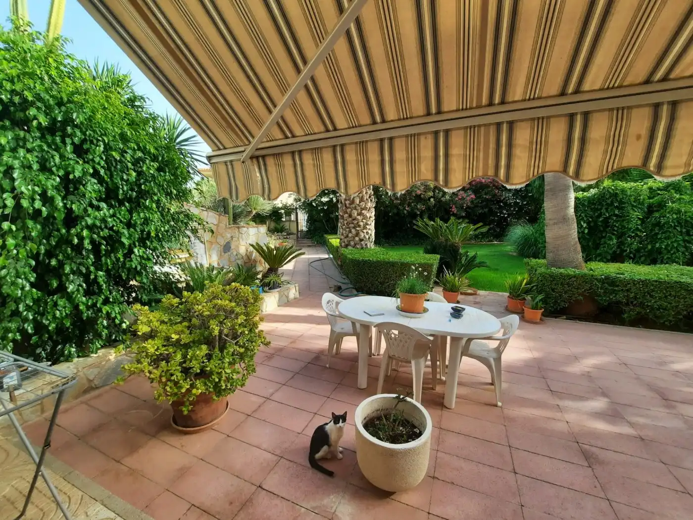 Villa avec piscine à vendre à Monóvar  / Monòver, imagen 6