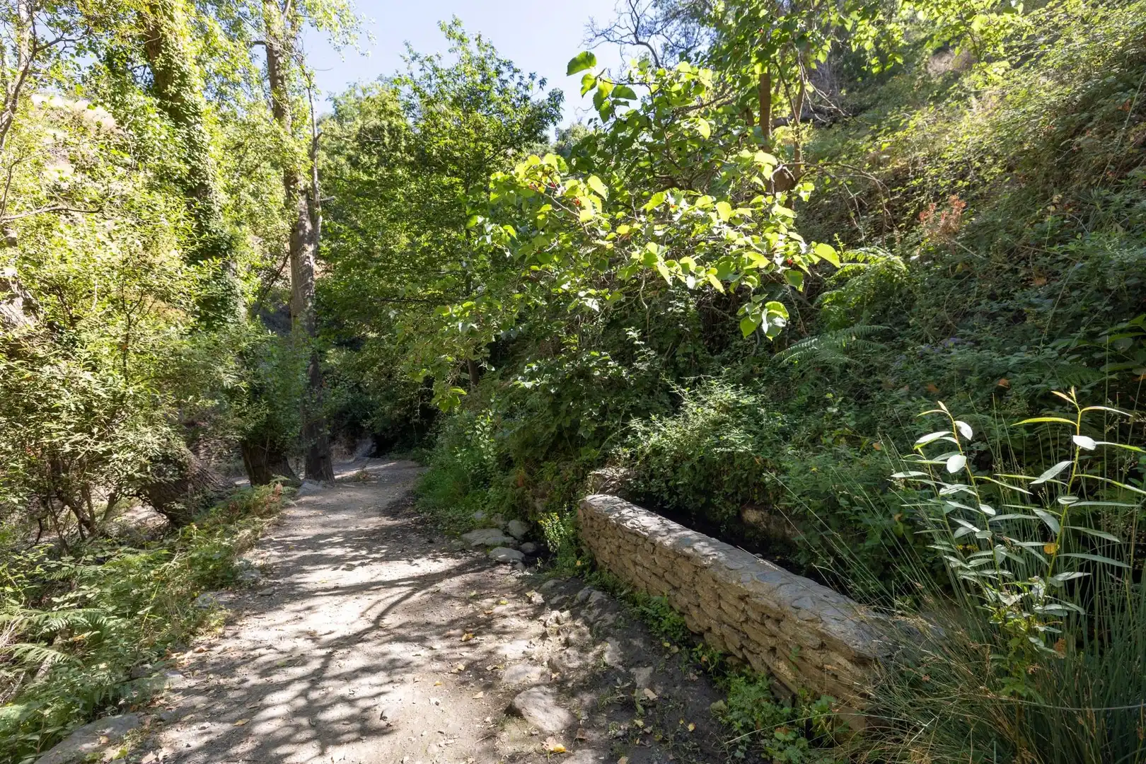 Rural land for sale in Polígono 3 Parcela 19 JARILA. BUBION (GRANADA), imagen 14