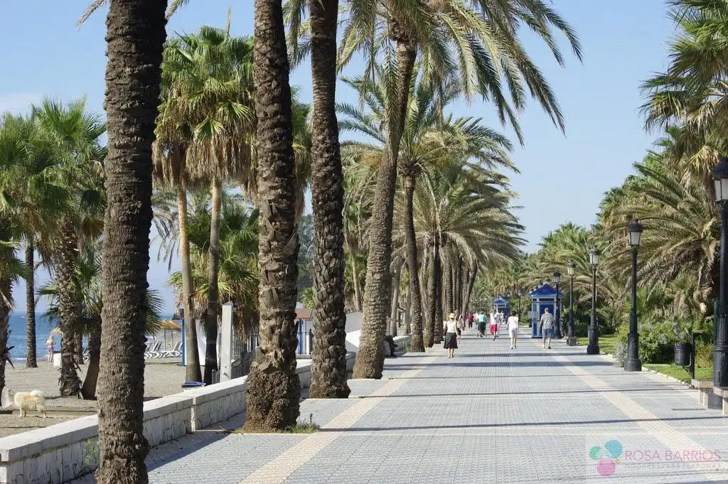 Vista exterior de Piso en venta en Marbella con Terraza, Trastero y Amueblado