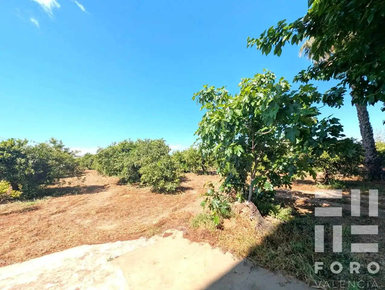 Finca rústica en venta en Alzira con Jardín privado, Balcón y Internet