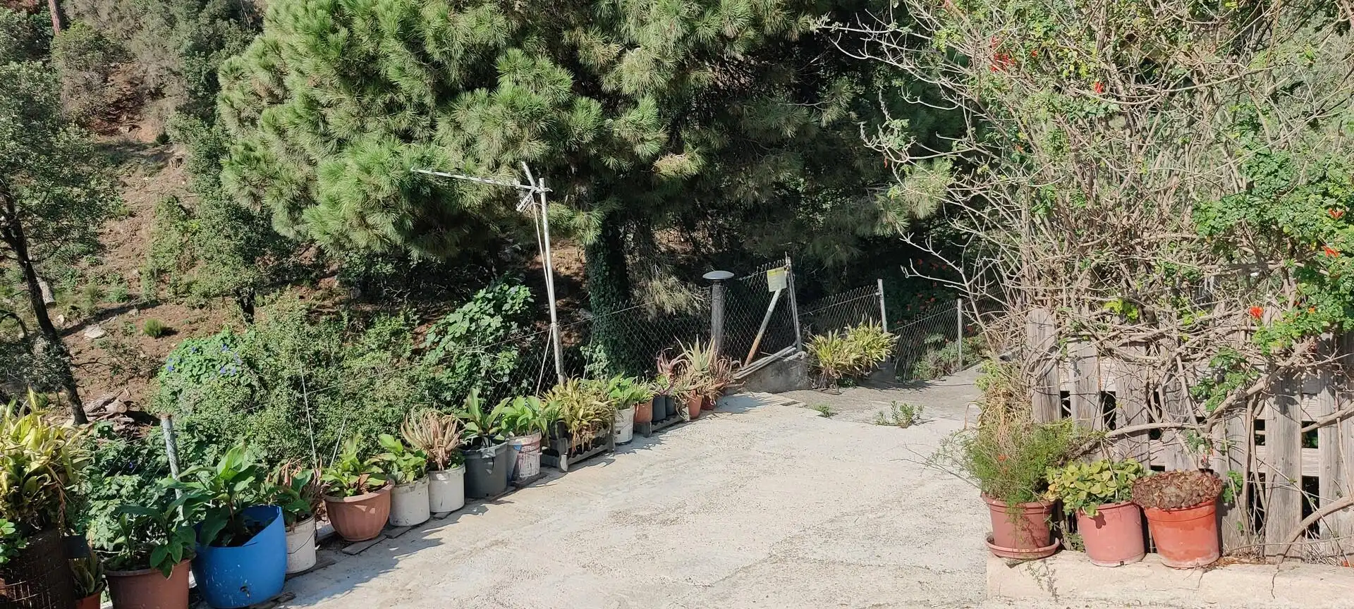Terreno residenziale in vendita a Can Massuet del Far, imagen 9