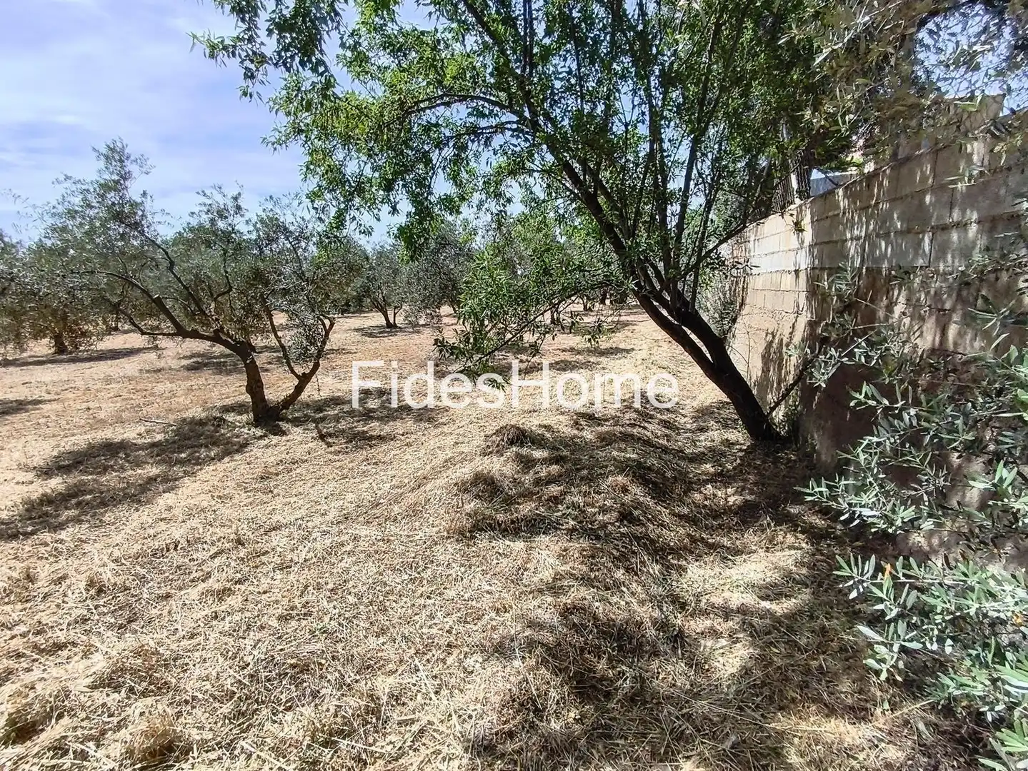 Rural land for sale in XFJ3+526 Nigüelas 0, imagen 25