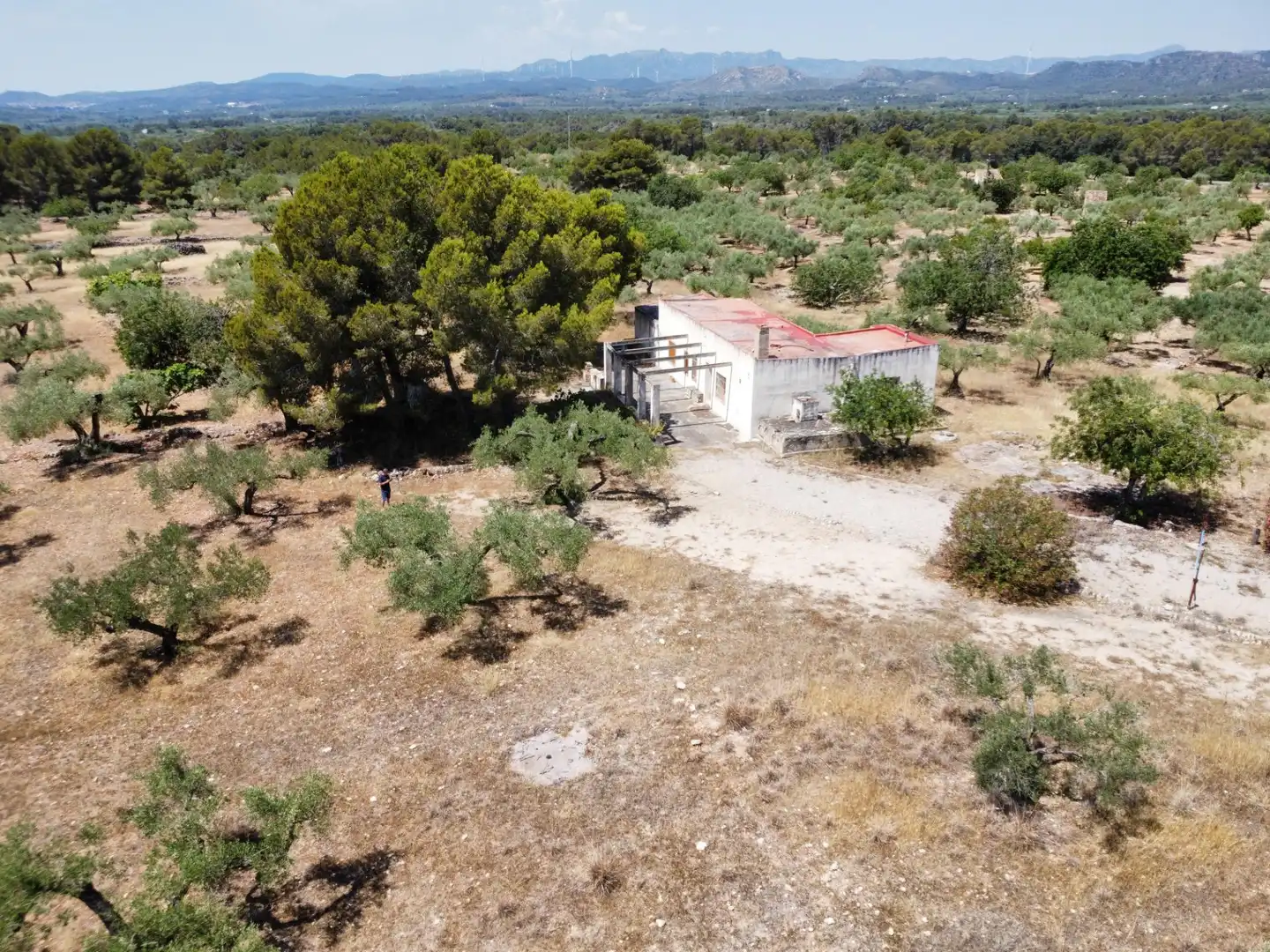 Maison rustique à vendre à L'Ametlla de Mar pueblo, imagen 15