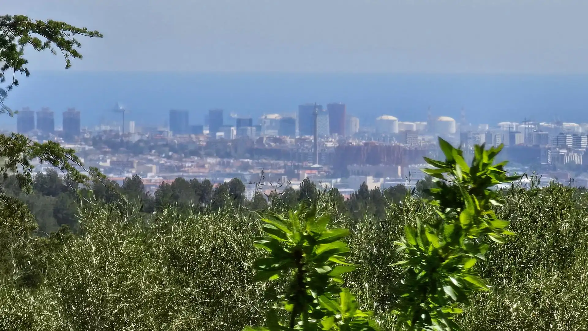 Vista exterior de Residencial en venta en Pallejà