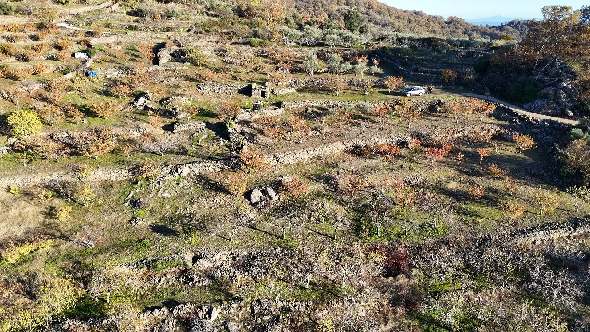 Land for sale in Arroyomolinos de la Vera