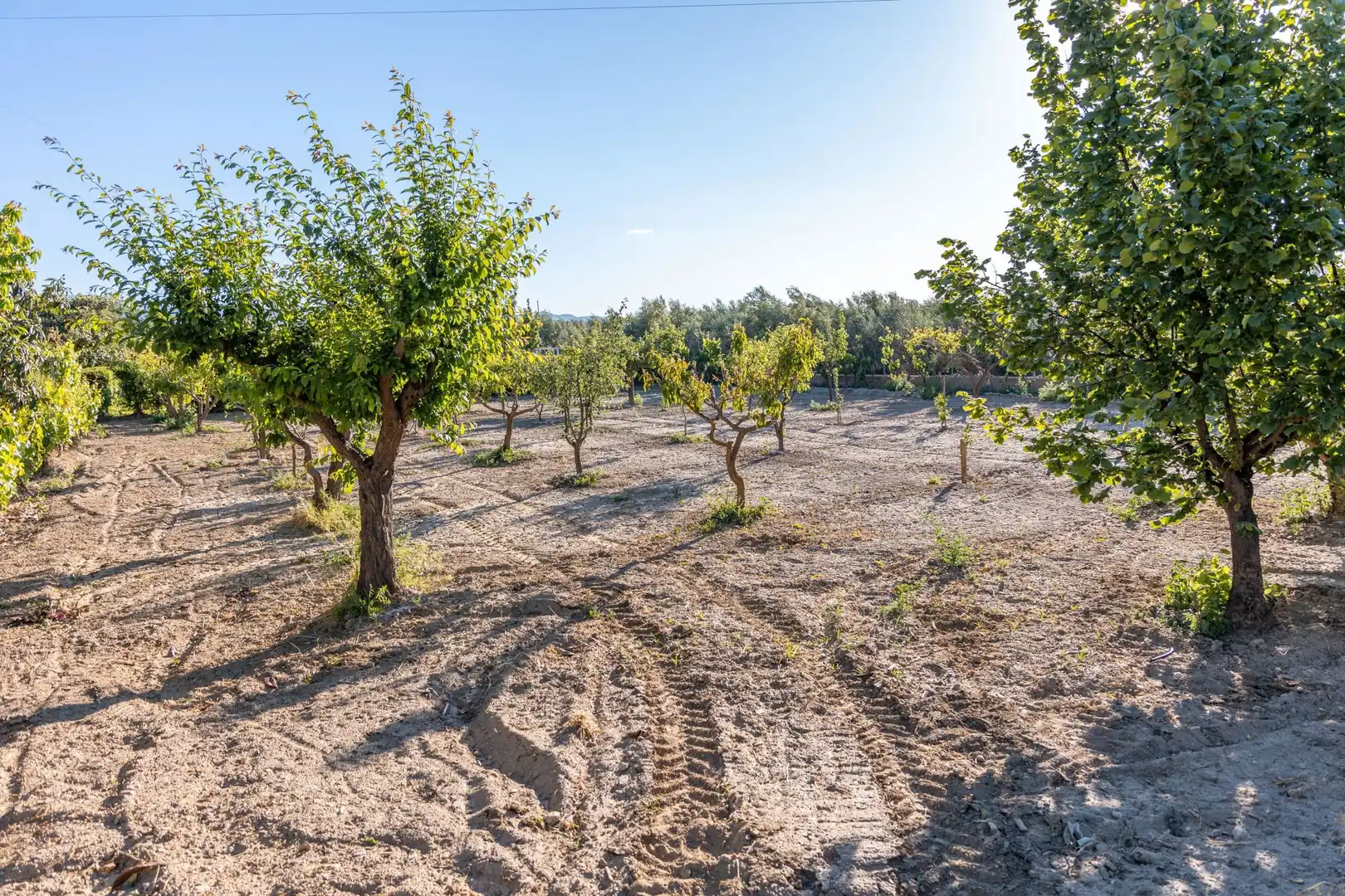 Casa o xalet en venda en Guadix amb Aire condicionat, Calefacció i Jardí privat
