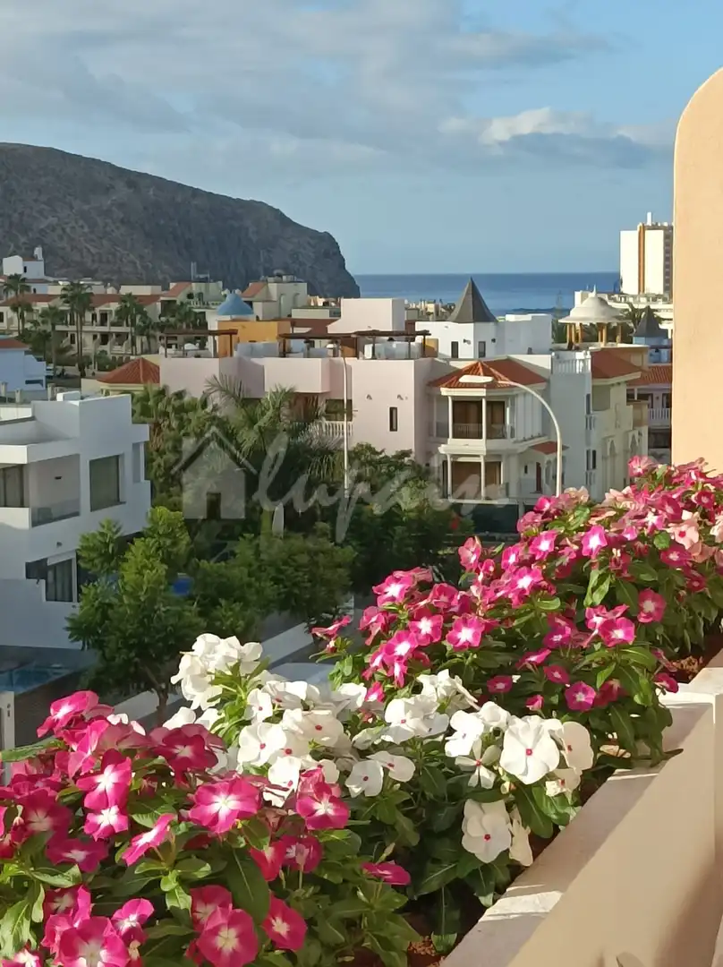 Vista exterior de Ático en venta en Arona